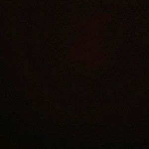 Meet your Posher, Sal